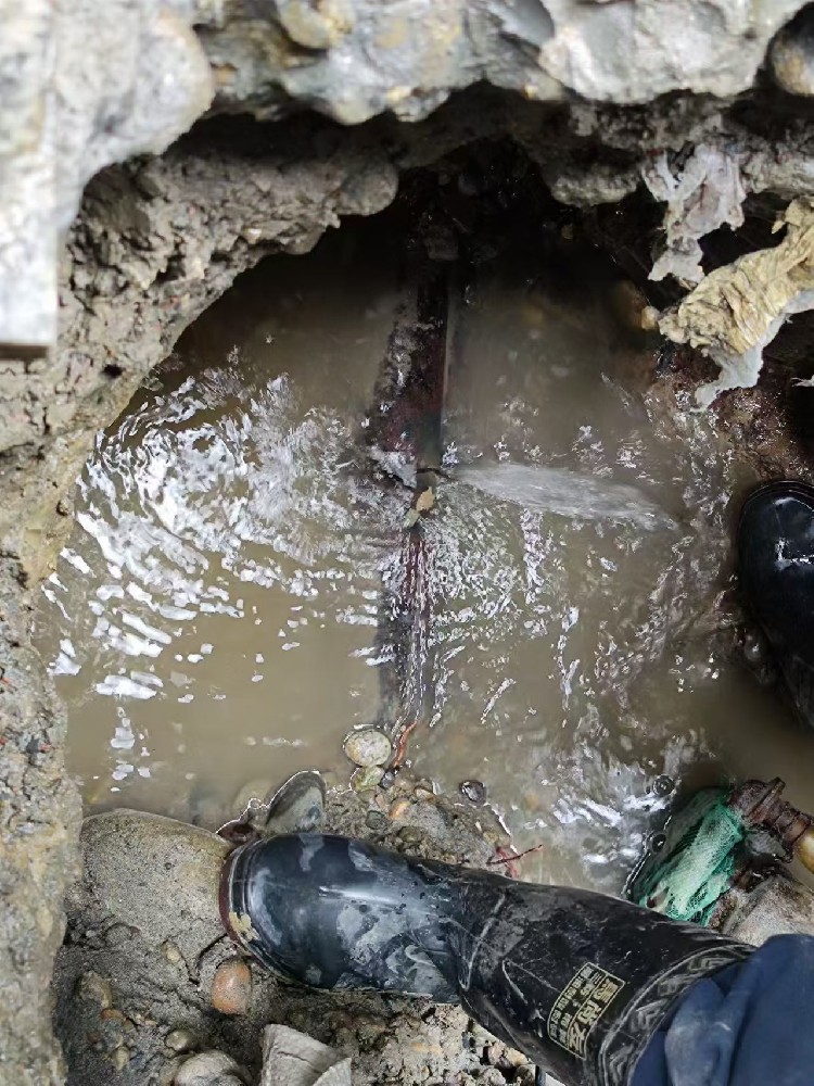阜新地区绿化水管漏水检测维修